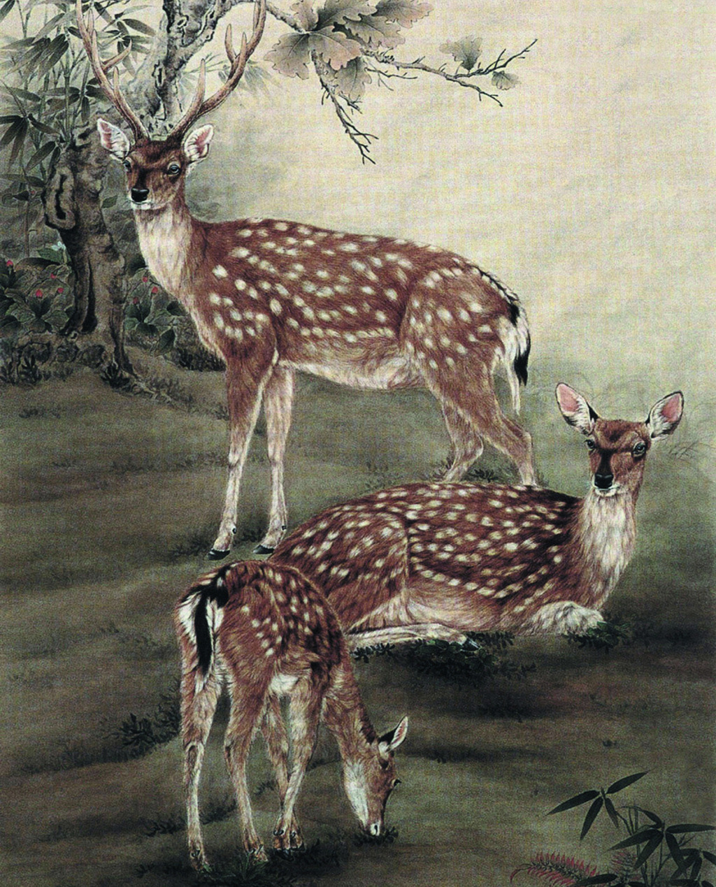 鹿副產(chǎn)品 鹿副產(chǎn)品